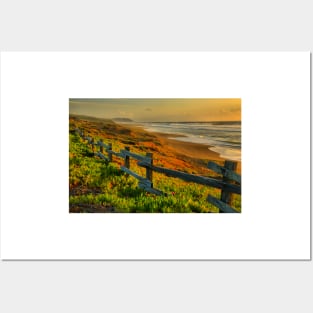 Point Reyes Golden Coast Posters and Art